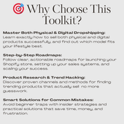 Shopify Dropshipping Playbook